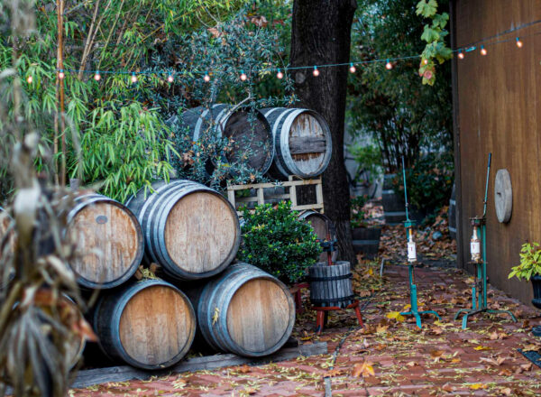 Piwniczka betonowa w ogrodzie – czy warto? Zalety i zastosowanie