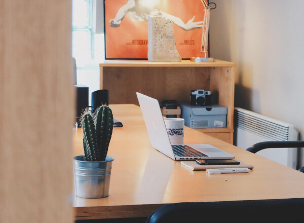 Automatycznie zapisany szkic